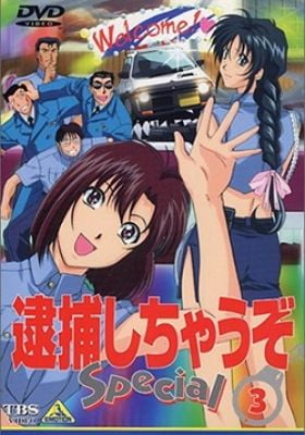 You're Under Arrest Mini Specials